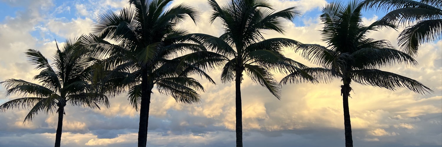 behbihhh's profile banner image