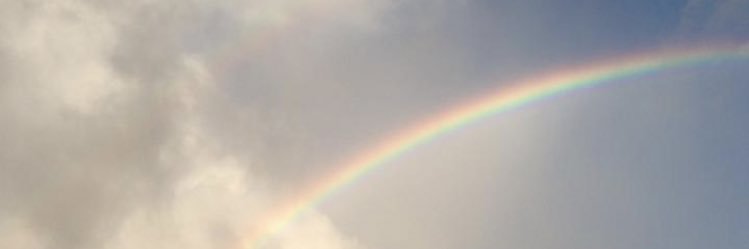 mari_s36's profile banner image