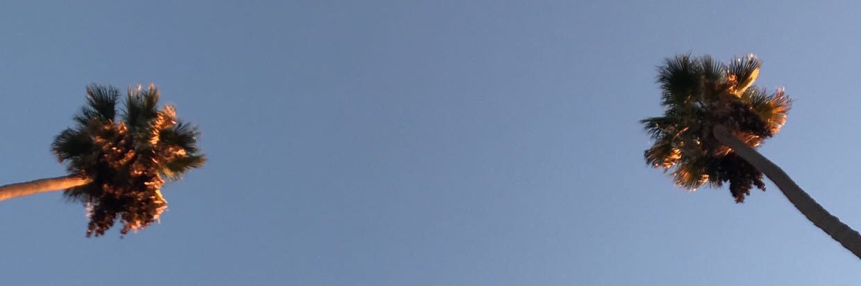 vvalojc's profile banner image