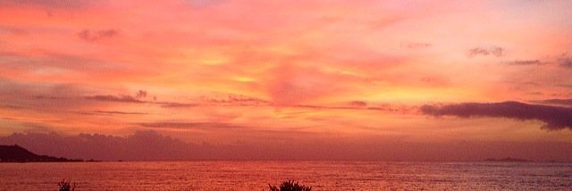Marieelolli's profile banner image