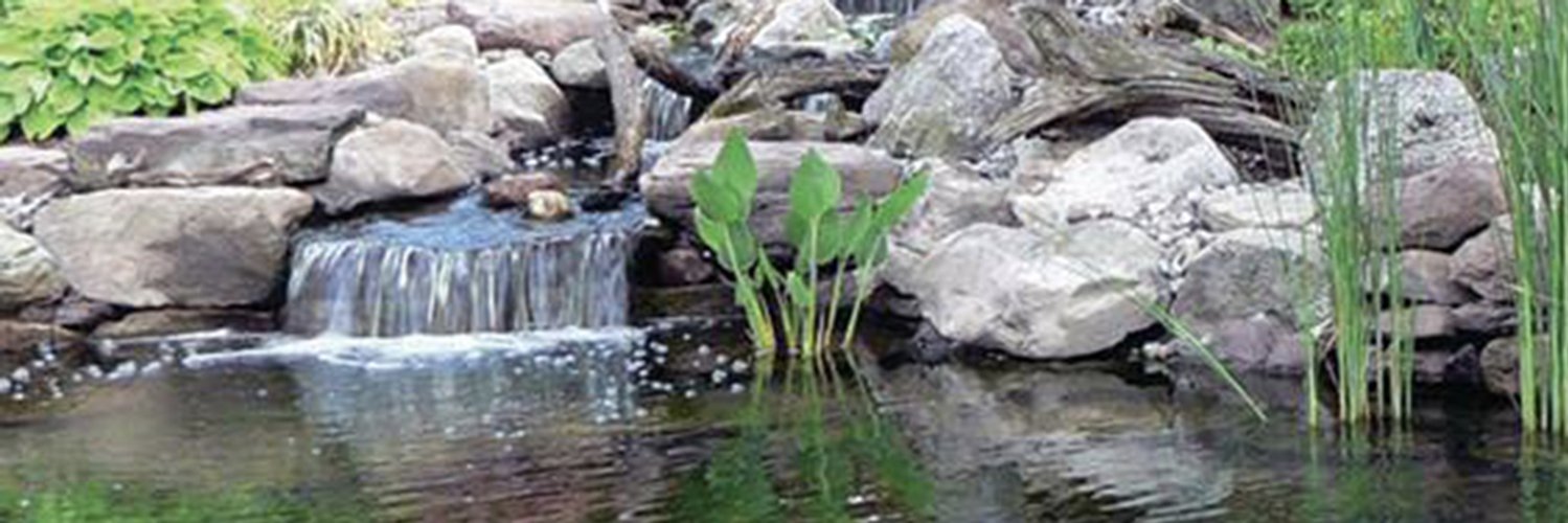 PremierPond's profile banner image