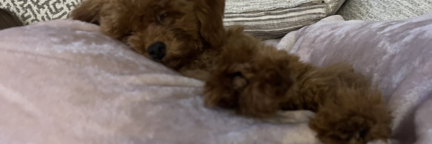 Deliciously mean banner