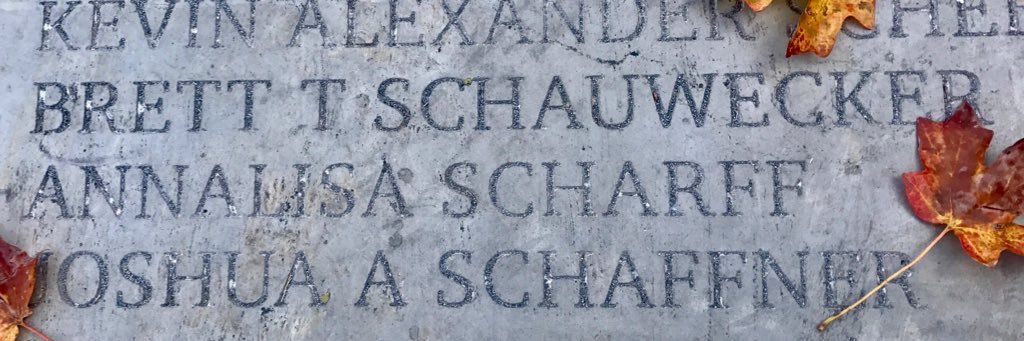 annalisascharff's profile banner image