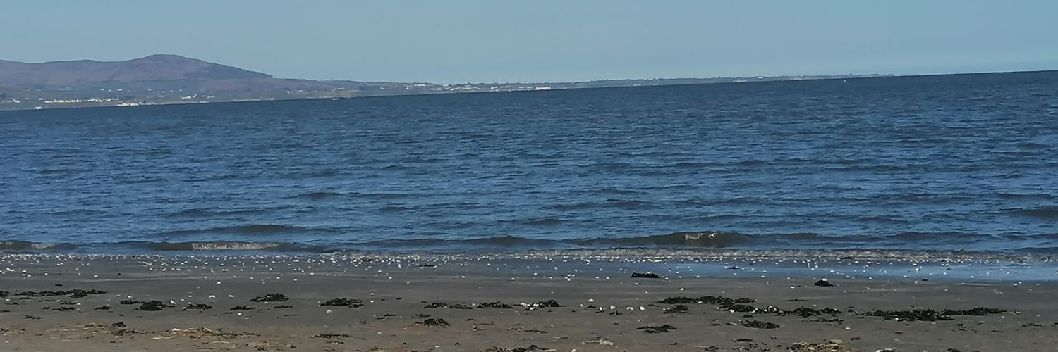 Kaylarari's profile banner image