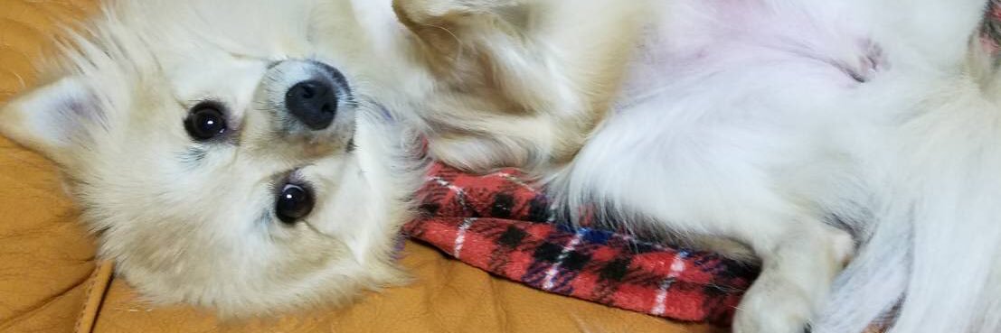TabascoGG's profile banner image