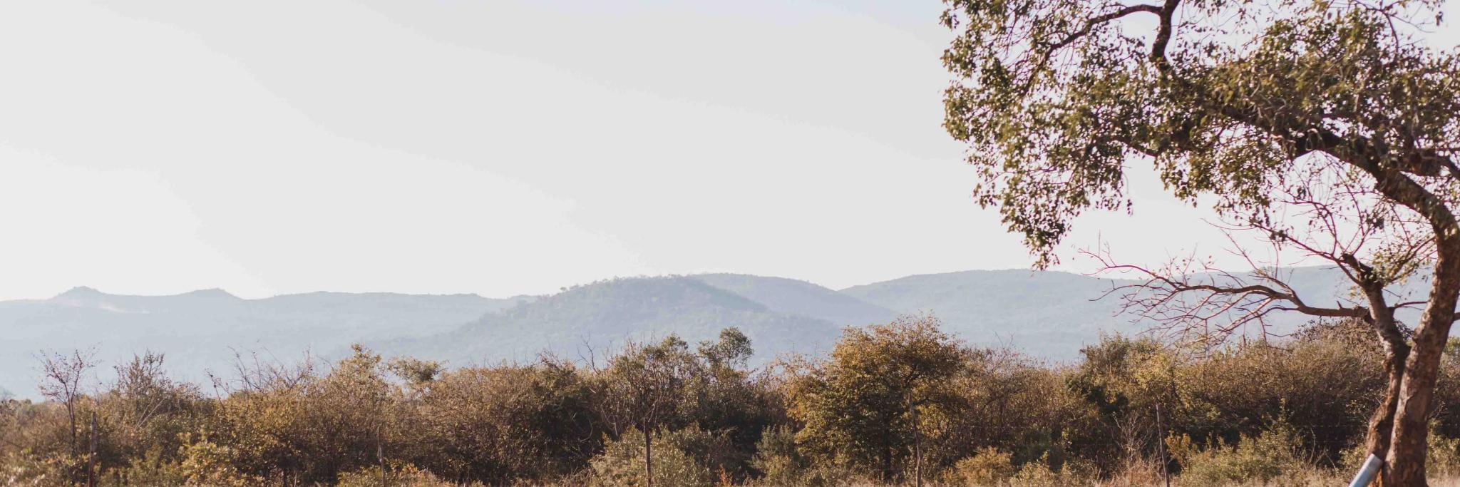 rebeccagrose's profile banner image