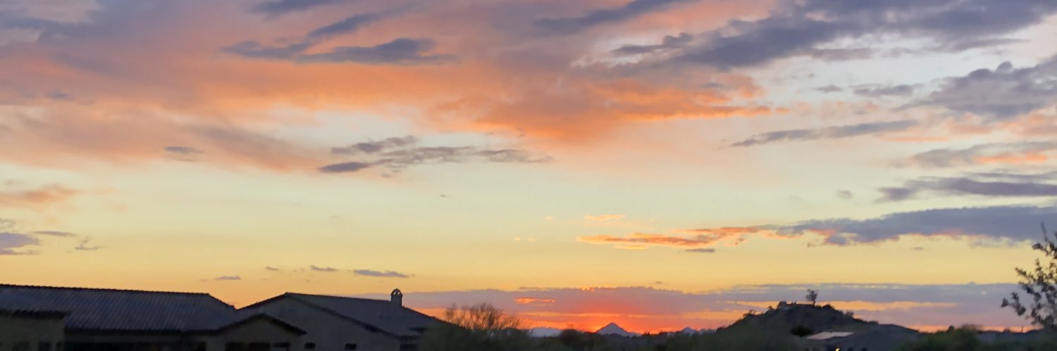 Someladyinthedesert banner