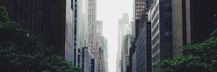 mmeelopez's profile banner image