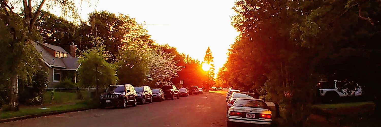 lmsilva78's profile banner image