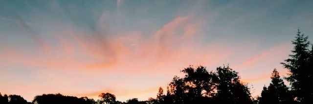 luciiferna's profile banner image