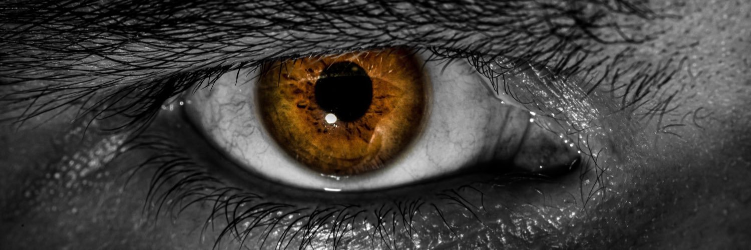 jpanicophoto's profile banner image