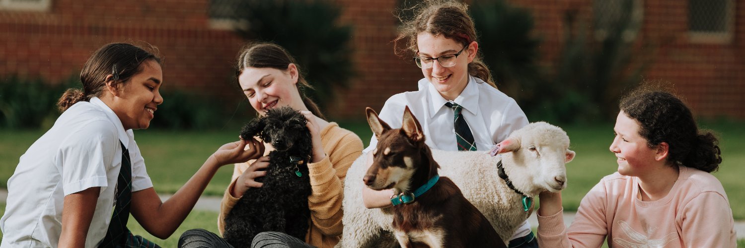 gsgrammar's profile banner image