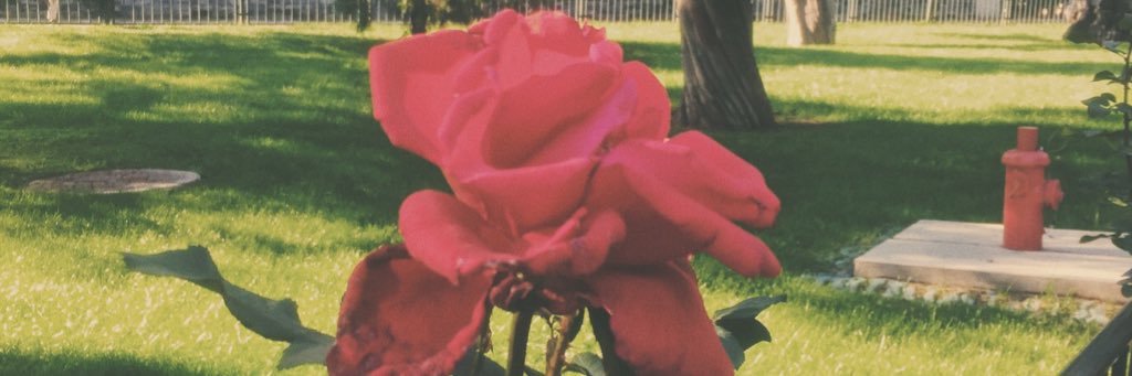 tommynewguyy's profile banner image