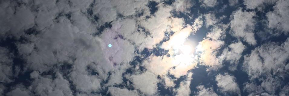 LisaAzizian's profile banner image