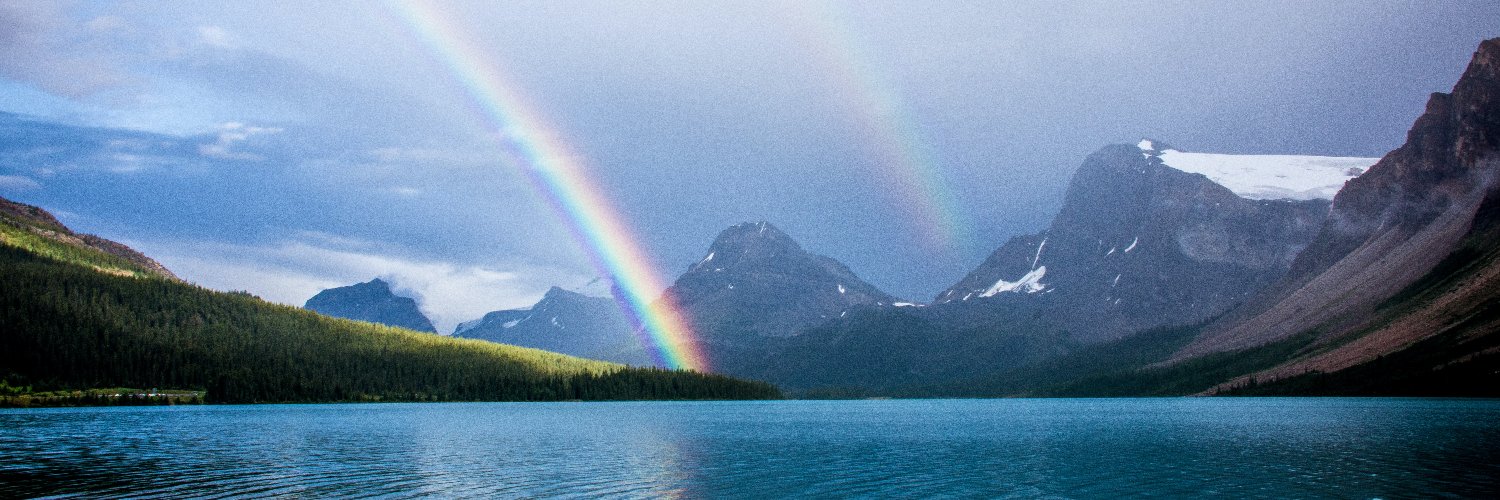 Michael Friedmann banner