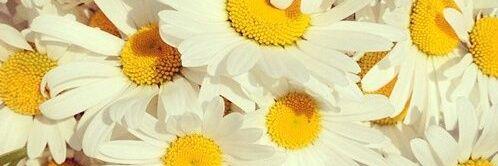 _870920's profile banner image