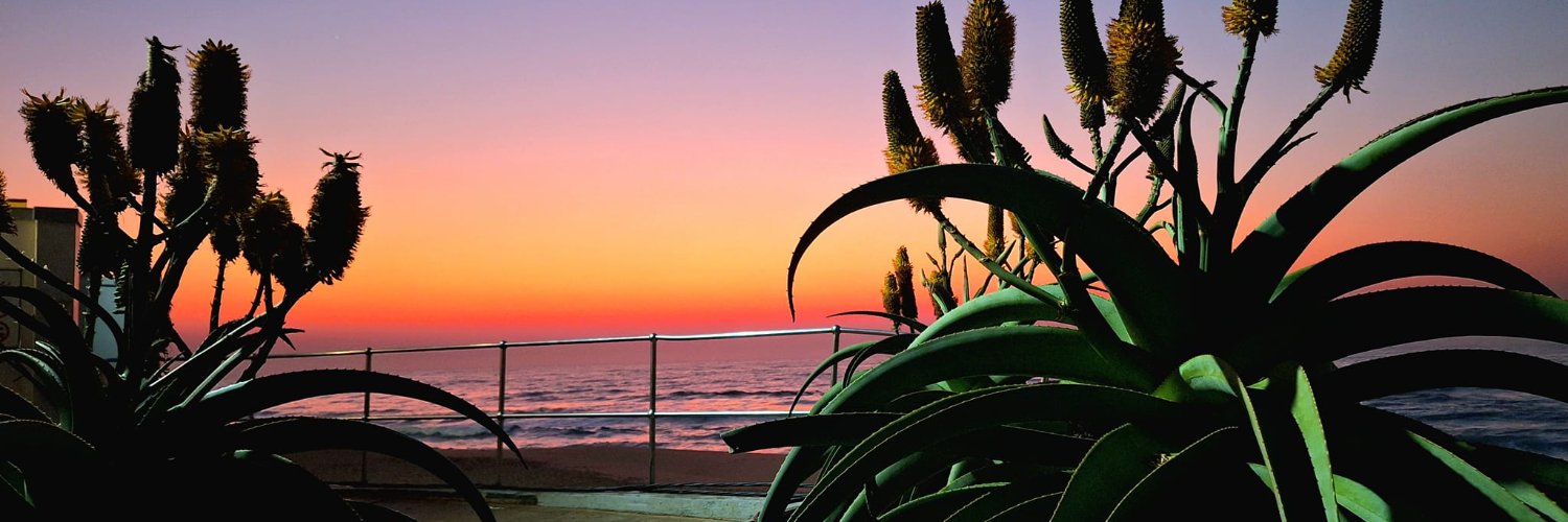 Robin van den Heever banner