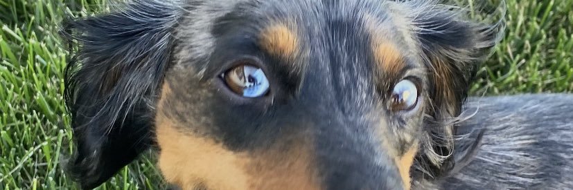 peegew's profile banner image