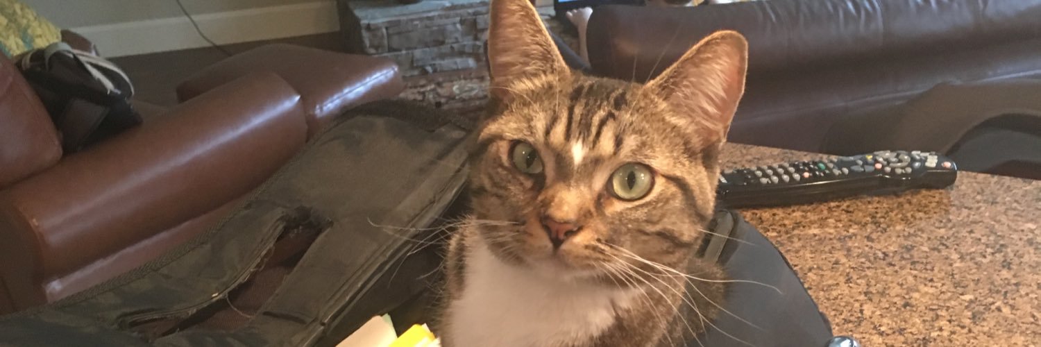 FormerDodger's profile banner image