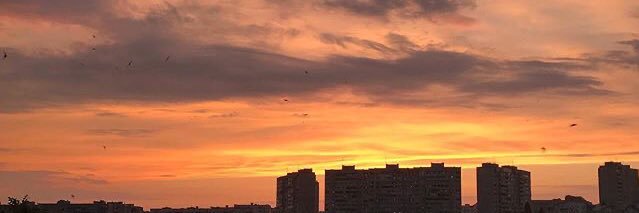 _mscw_'s profile banner image