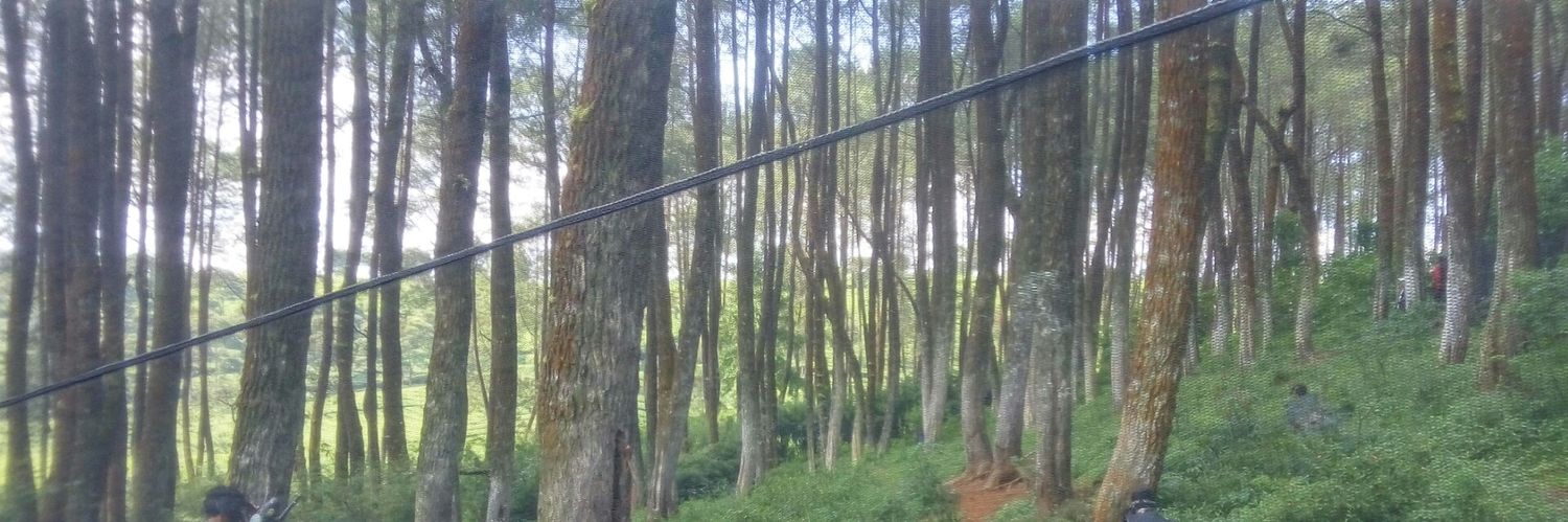 SafiraSPG's profile banner image
