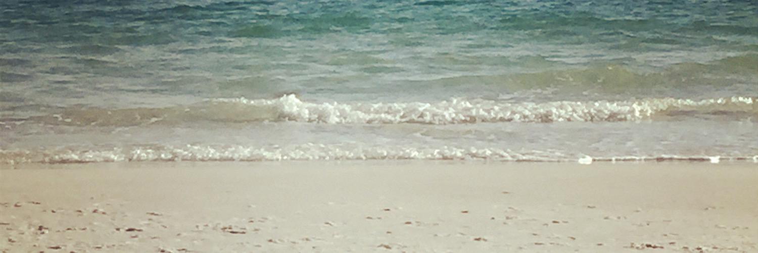 betsybr124's profile banner image