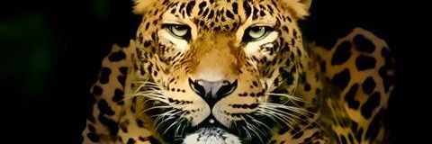 rameshspeaks's profile banner image