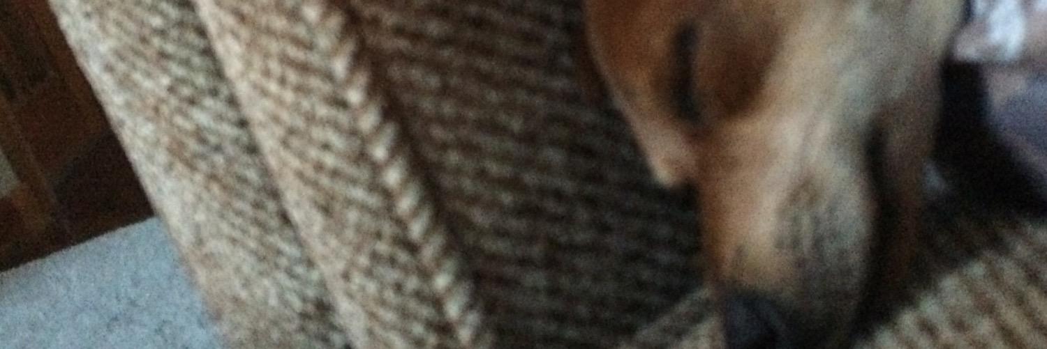 gracecatherin21's profile banner image
