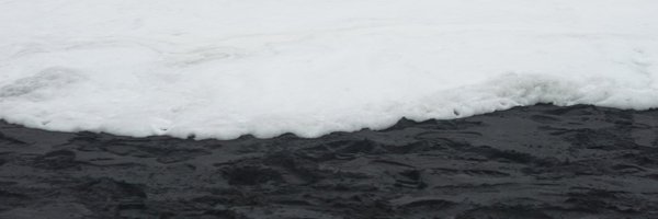 risboras Profile Banner