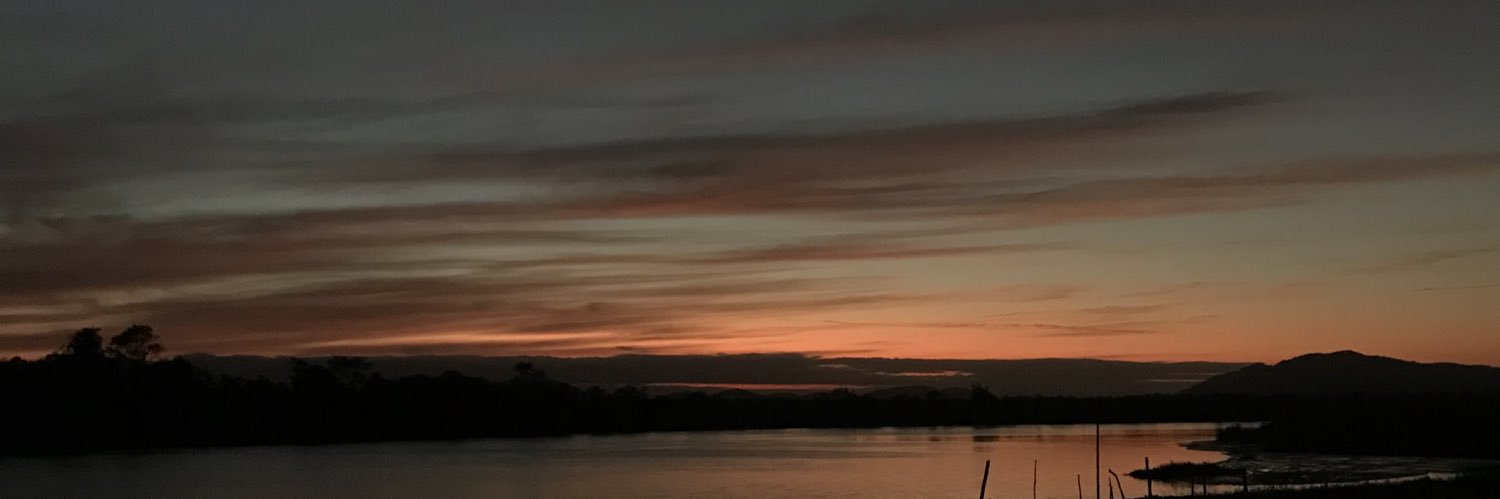 xllribeiro's profile banner image