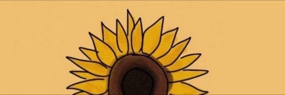 rcnsrsb's profile banner image