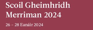 Cumann Merriman banner