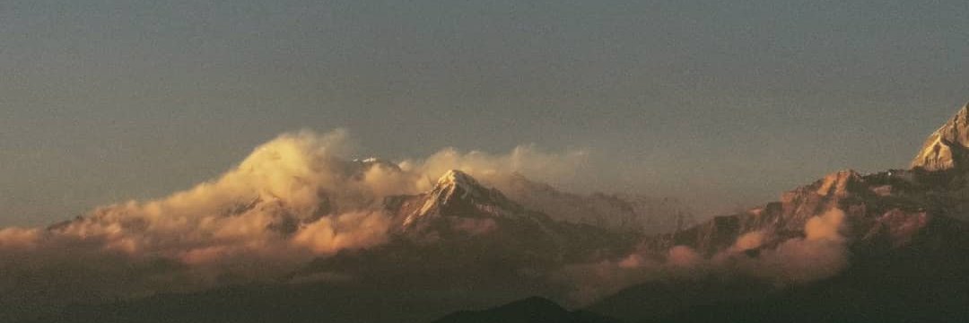 mridul_1995's profile banner image