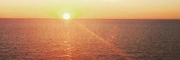 LoriGomez_PHHS Profile Banner