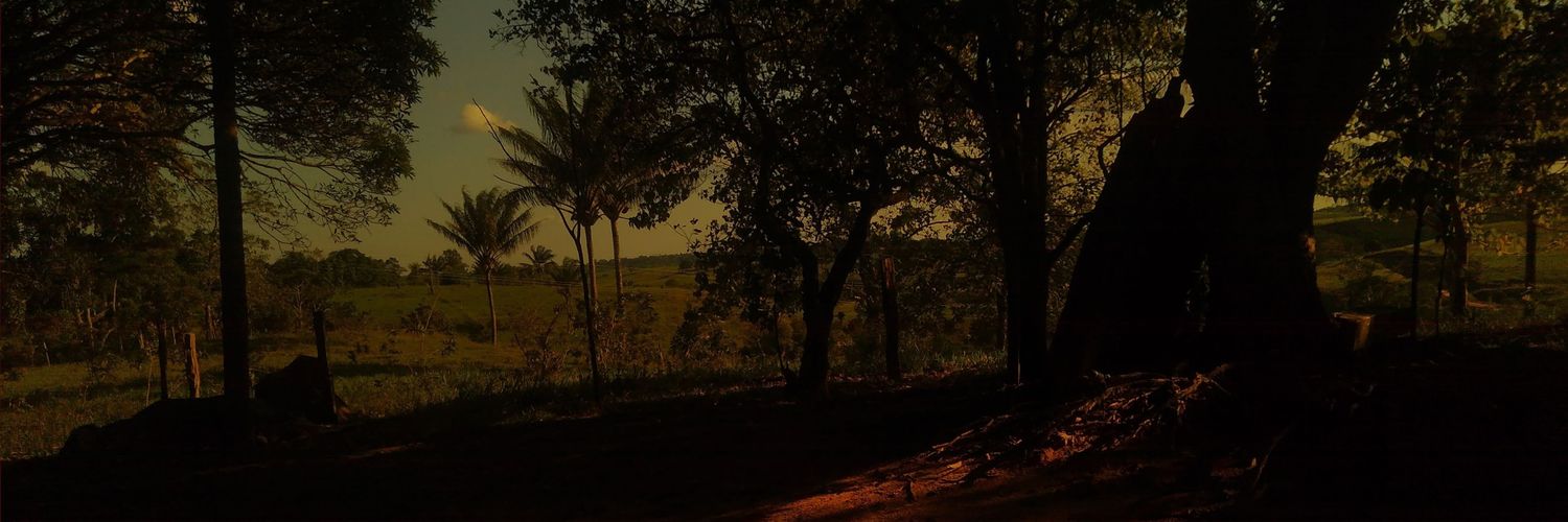 jasonjavi14's profile banner image