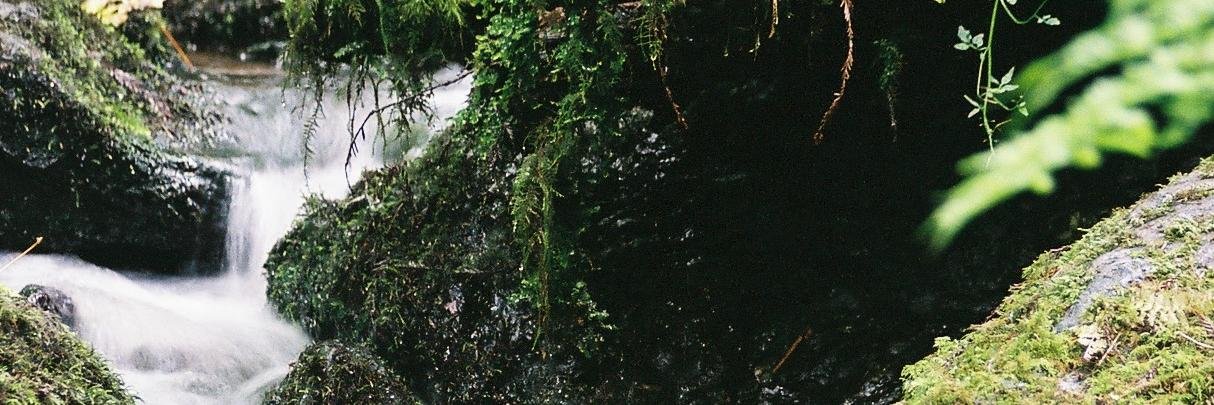 mtthwshirley's profile banner image