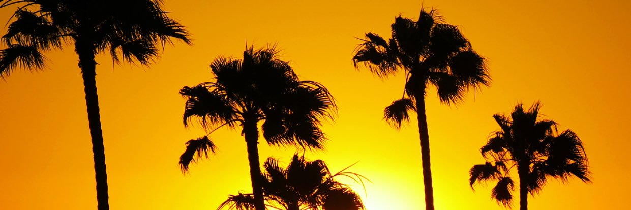 shmeff22's profile banner image
