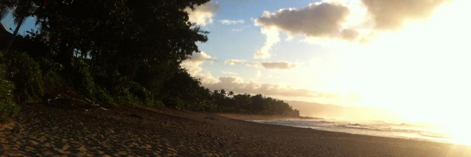 AJH808's profile banner image