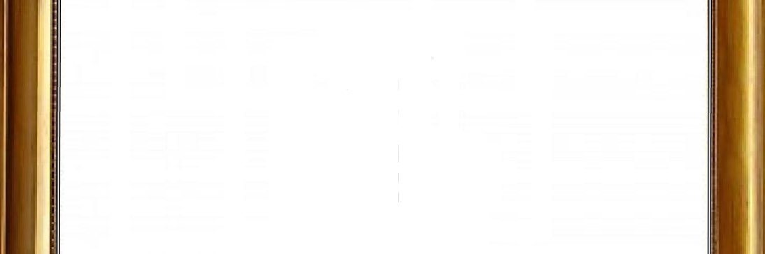 DylanTommasini's profile banner image