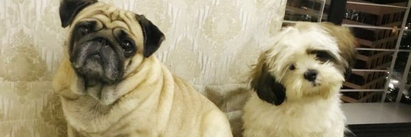 dxtdvy Profile Banner