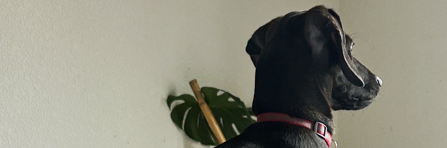 knton's profile banner image