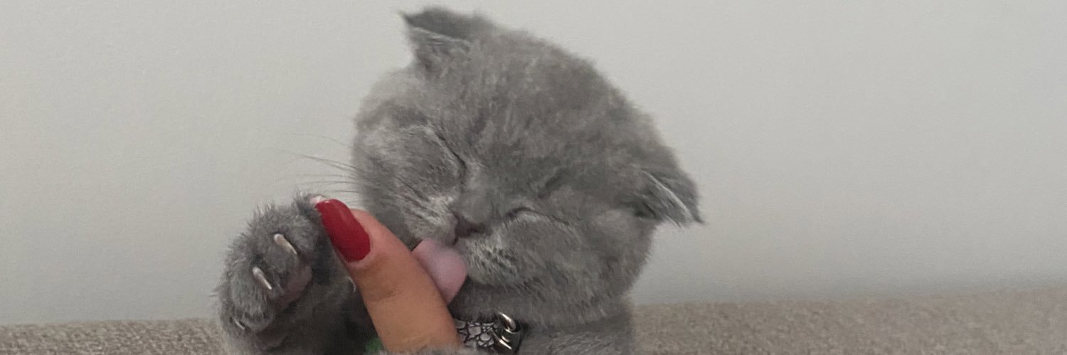 BeguKurt's profile banner image