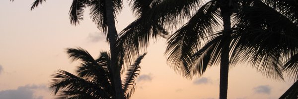 FloStadt Profile Banner