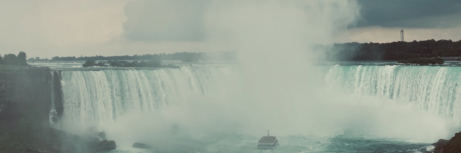 armadilloheart's profile banner image