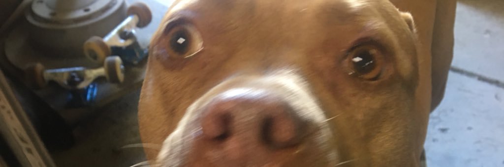 onlybrendanever's profile banner image