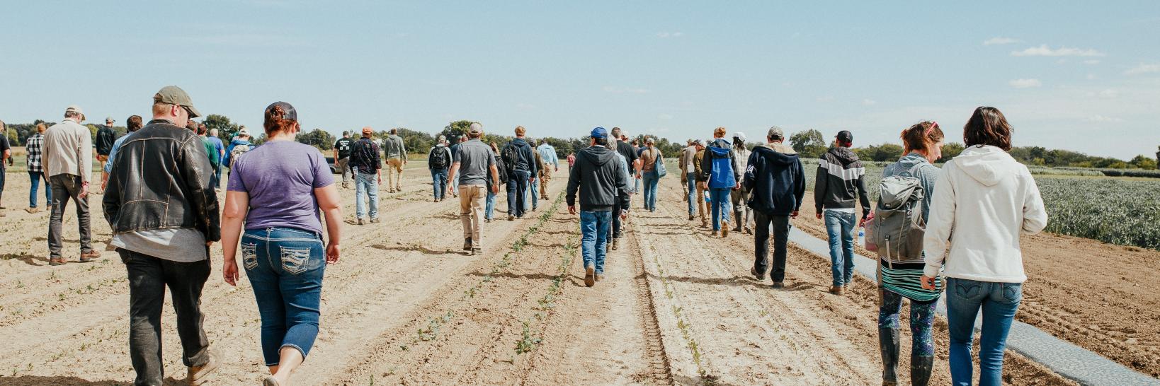 The Land Connection banner