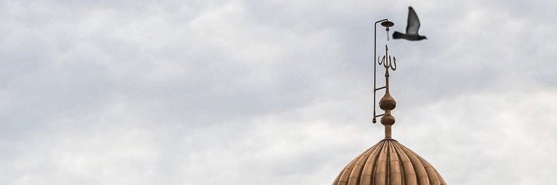 تمارا banner