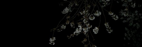 Skaivii Profile Banner