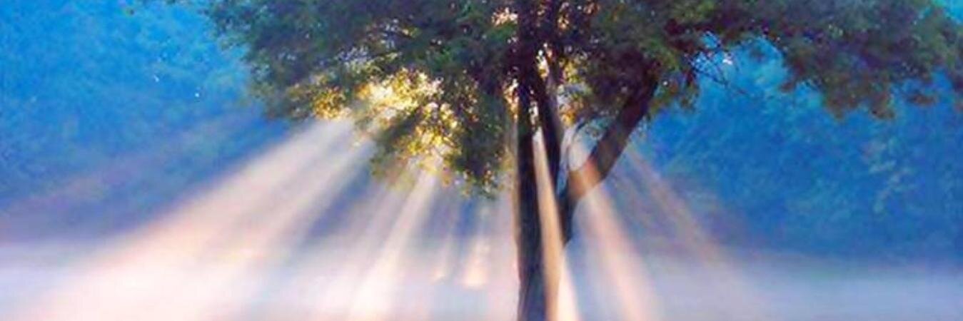 souzza_dann's profile banner image