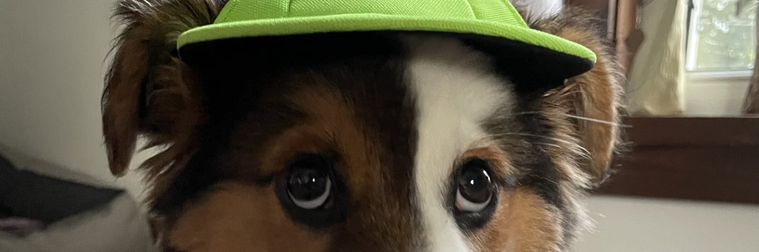 EmmaFrey123's profile banner image